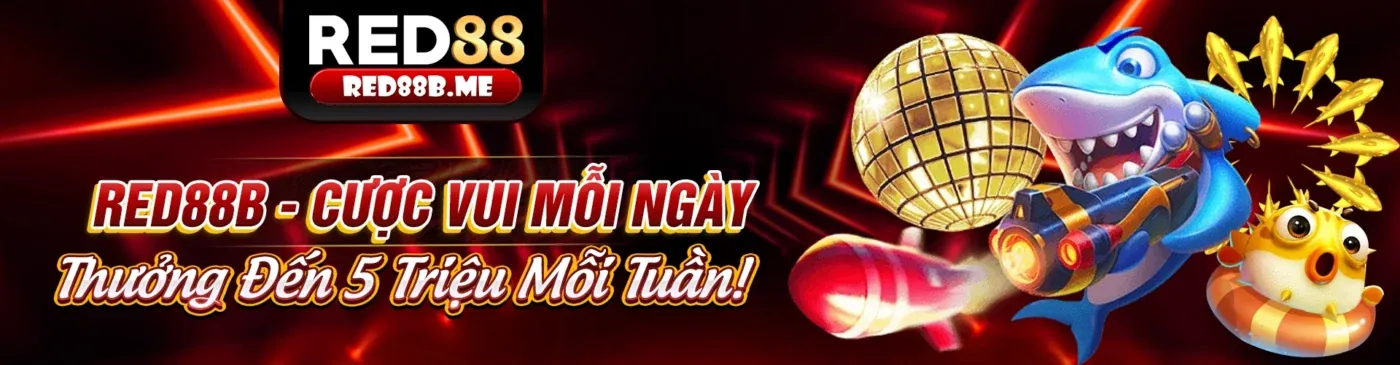 Các loại kèo cược đá gà phổ biến tại Win8bet